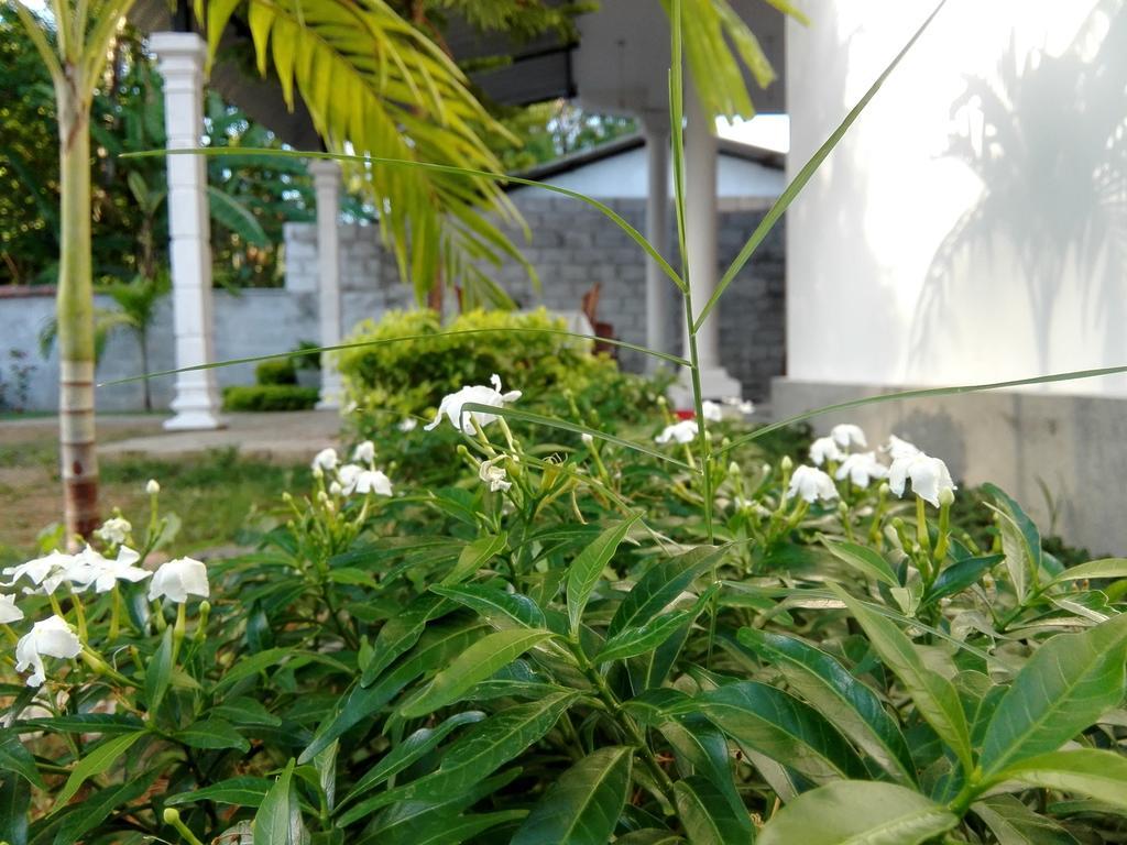 Radha Tourist Home Polonnaruwa Exterior photo